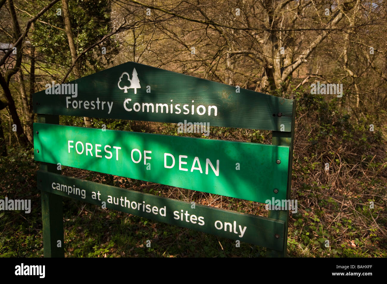 Regno Unito Gloucestershire Foresta di Dean commissione forestale camping nei luoghi autorizzati solo segno Foto Stock