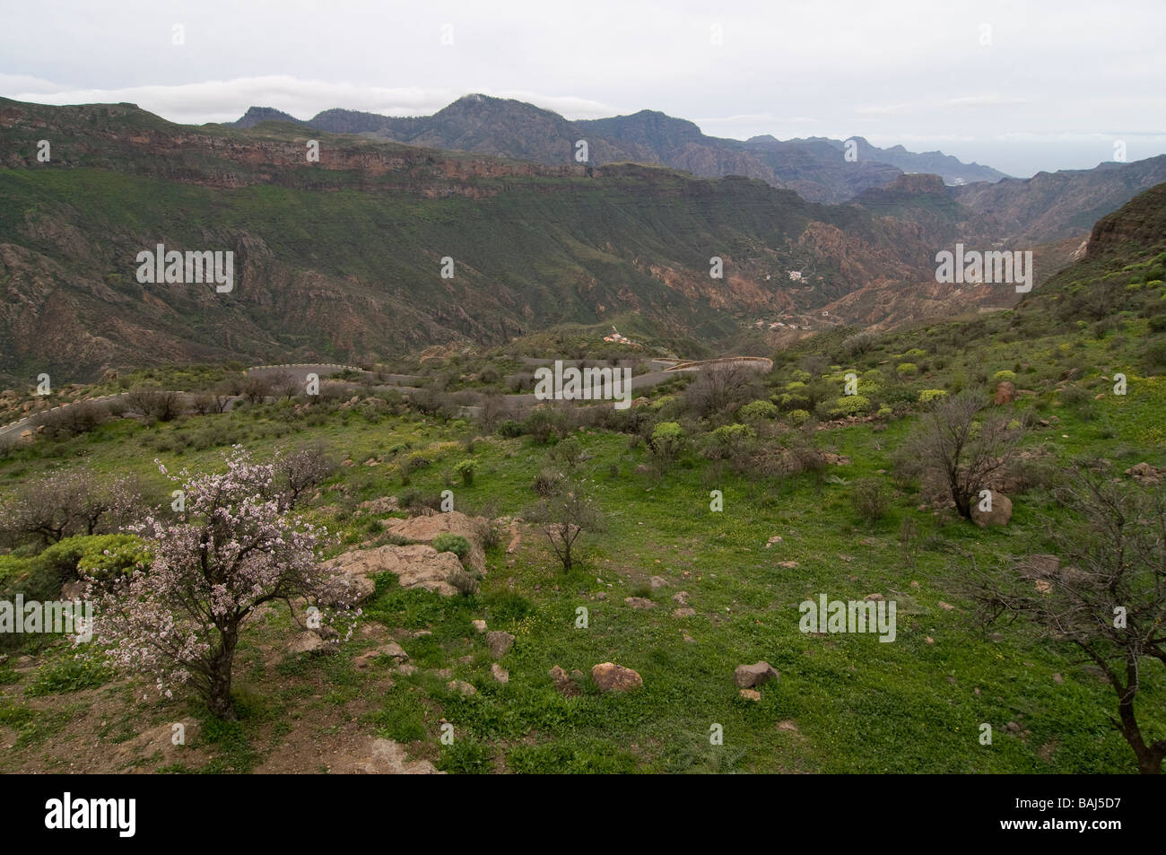 Valle all'interno di Gran Canaria Isole Canarie Spagna Foto Stock