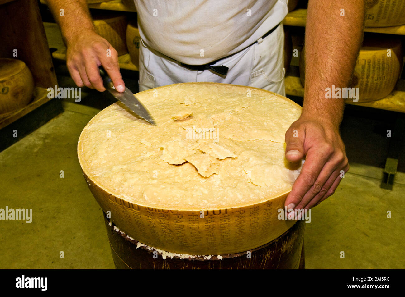 Degustazione di Formaggio Parmigiano Reggiano Coop Casearia Castelnovese Castelnuovo Rangone Provincia di Modena Italia Foto Stock