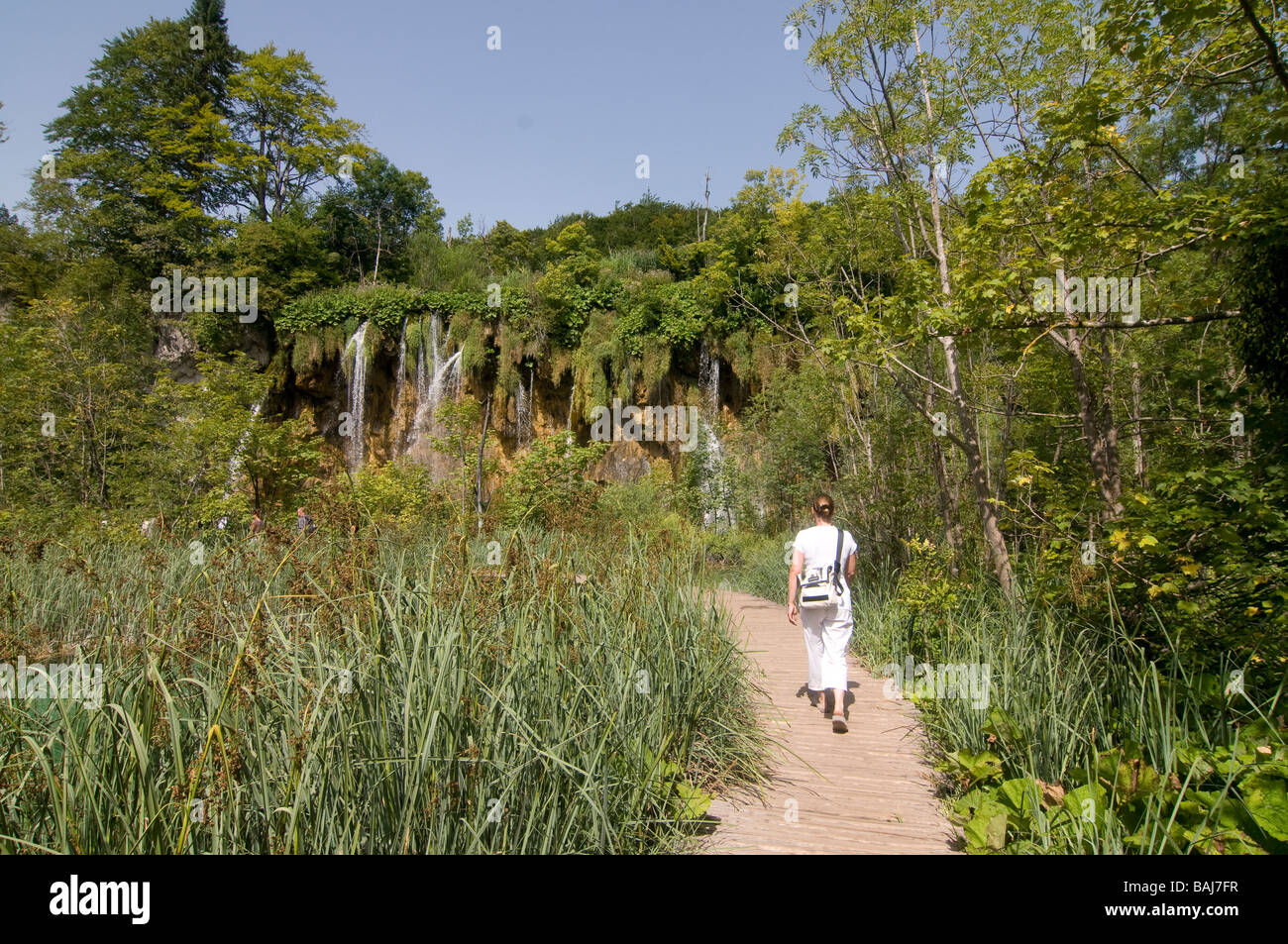 Giovane donna è camminare lungo un percorso di campo in natura di Plitvicer lago Croazia Europa orientale Foto Stock