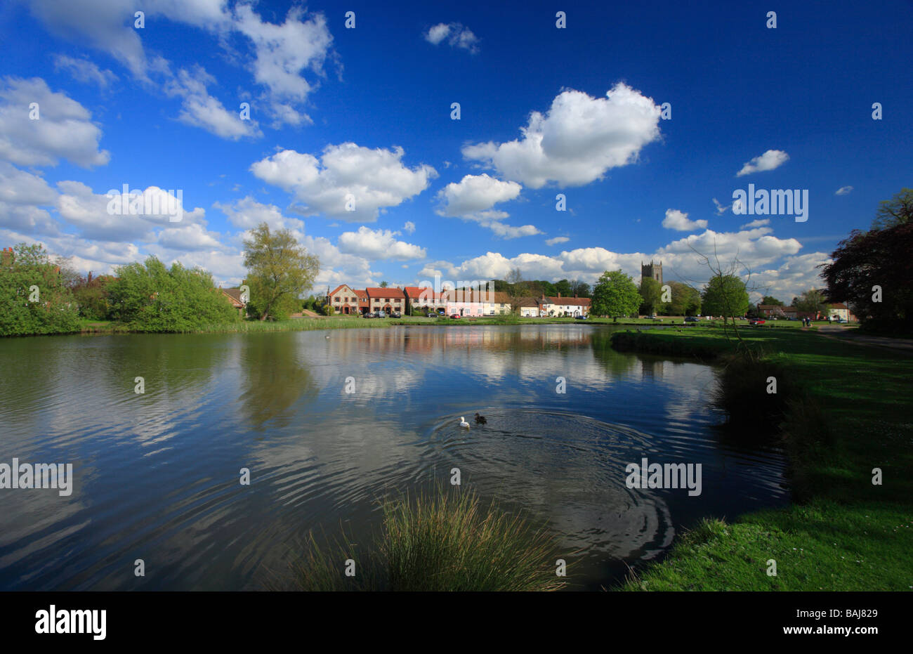 Il duck pond a grande Massingham in Norfolk. Foto Stock