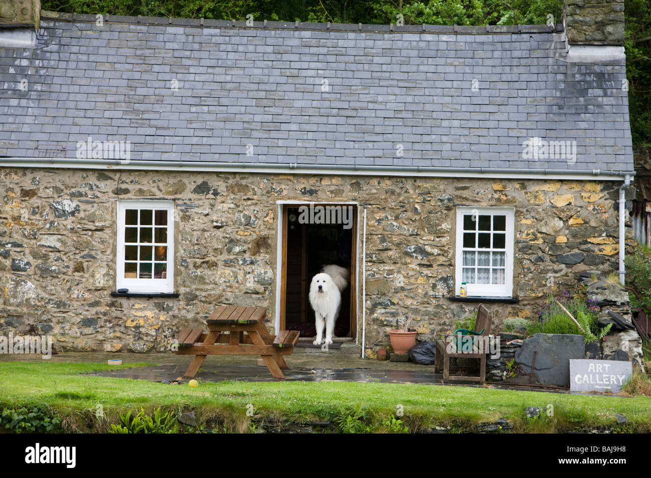 Casa per le vacanze bungalow con un enorme cane bianco in piedi nel vano della porta Foto Stock