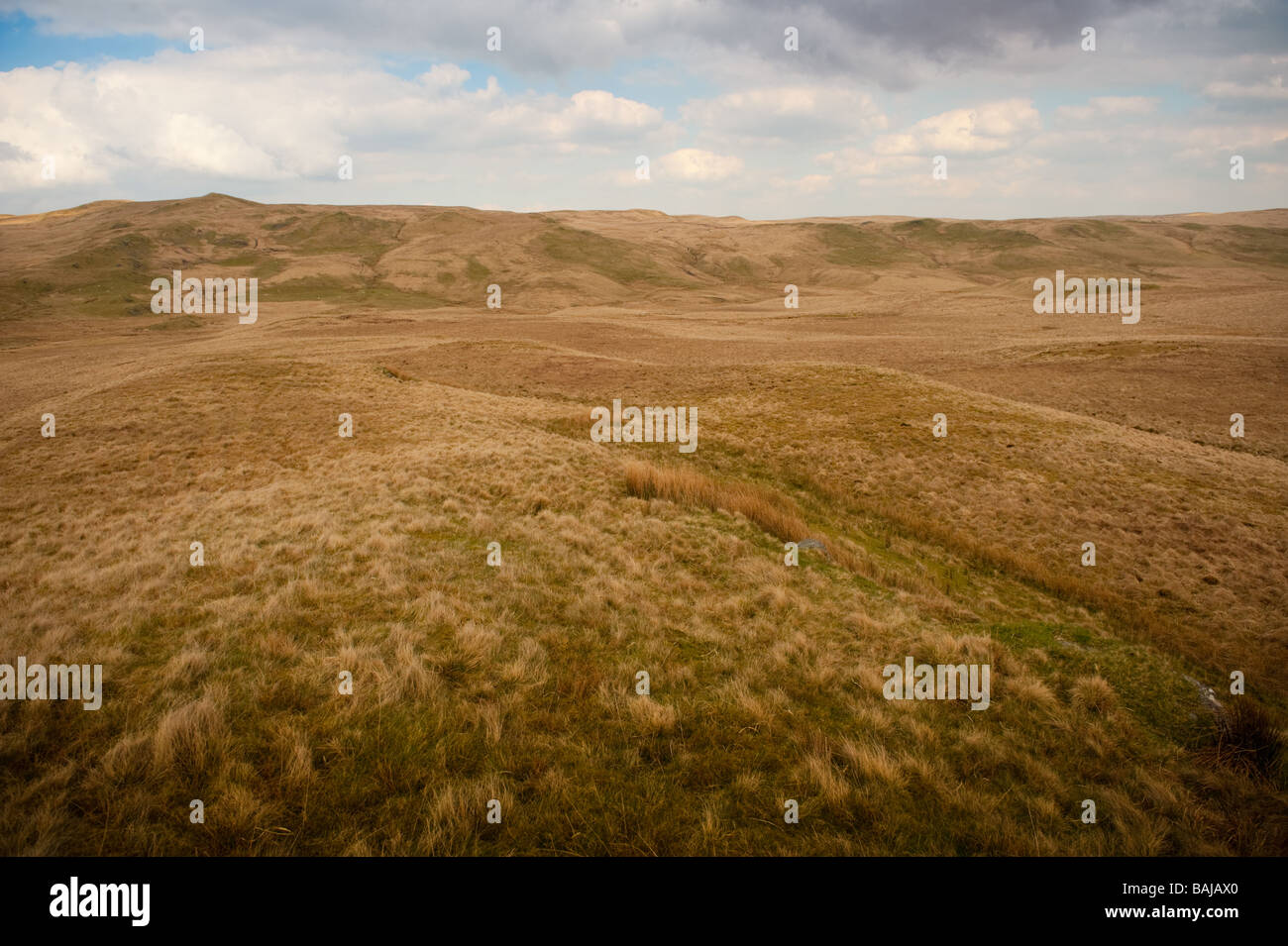 Il Deserto Verde del telecomando montane rurali Ceredigion settentrionale nei pressi della sorgente del fiume Teifi Wales UK Foto Stock