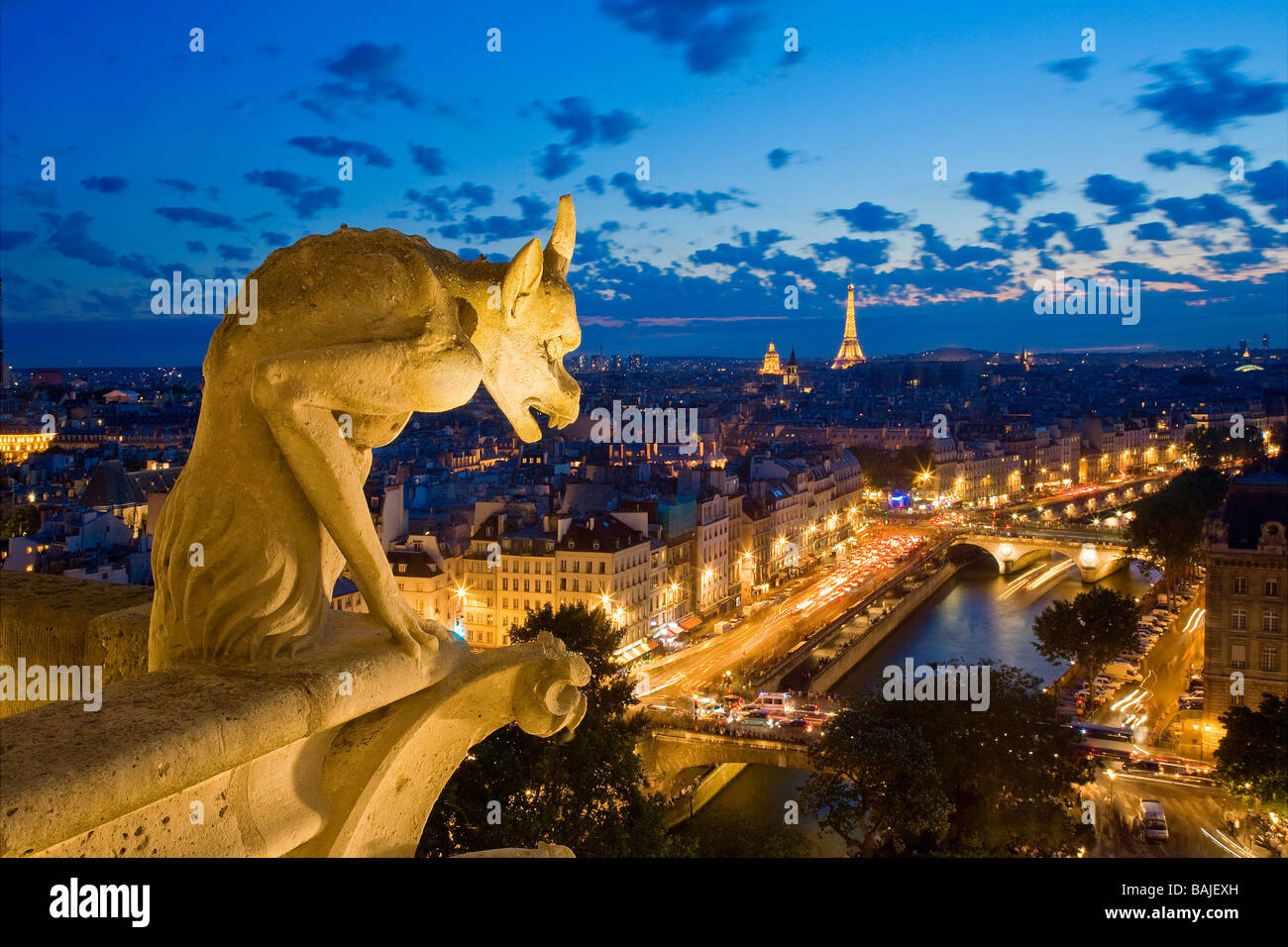 Francia, Parigi, le rive della Senna sono classificati come patrimonio mondiale dall'UNESCO, la vista sulla città dalla cattedrale di Notre Dame Foto Stock