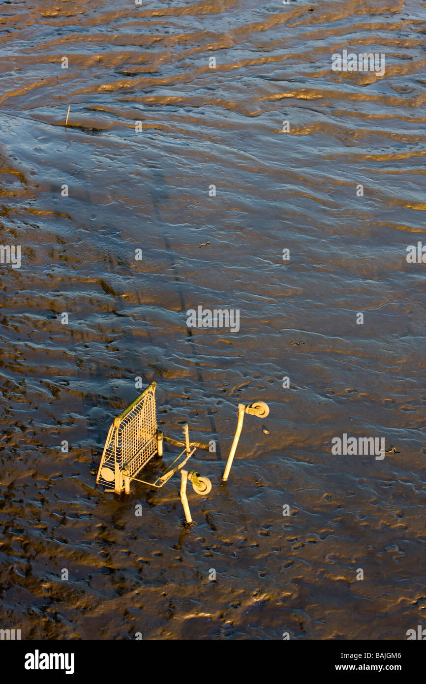 Carrello sommerso nel fiume Tyne fango Foto Stock