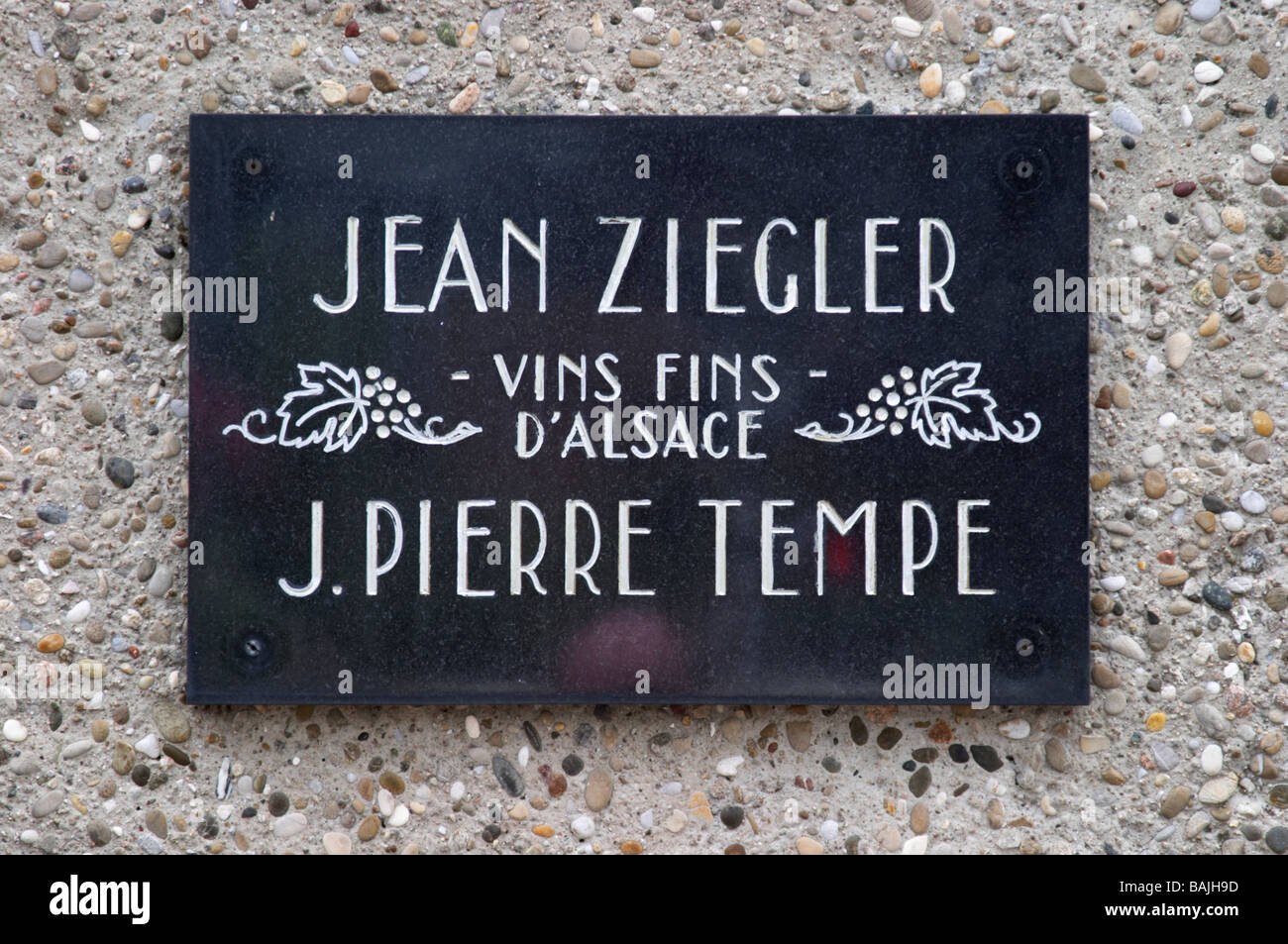 Jean Ziegler j pierre tempe i produttori di vino sigolsheim Alsace Francia Foto Stock