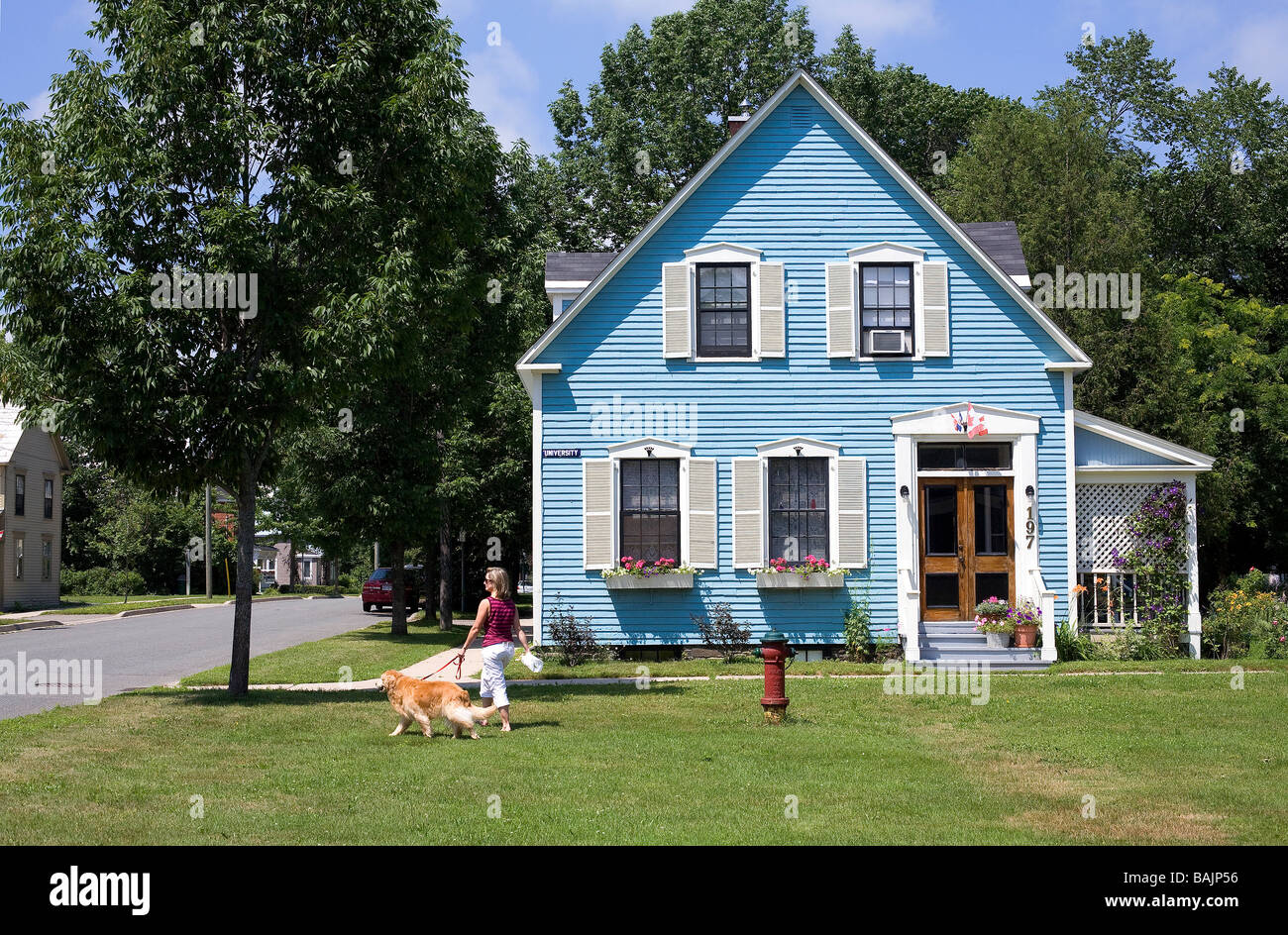 Canada, New Brunswick, Fredericton, casa del quartiere storico, Donna che cammina il suo cane nella parte anteriore di una casa blu Foto Stock