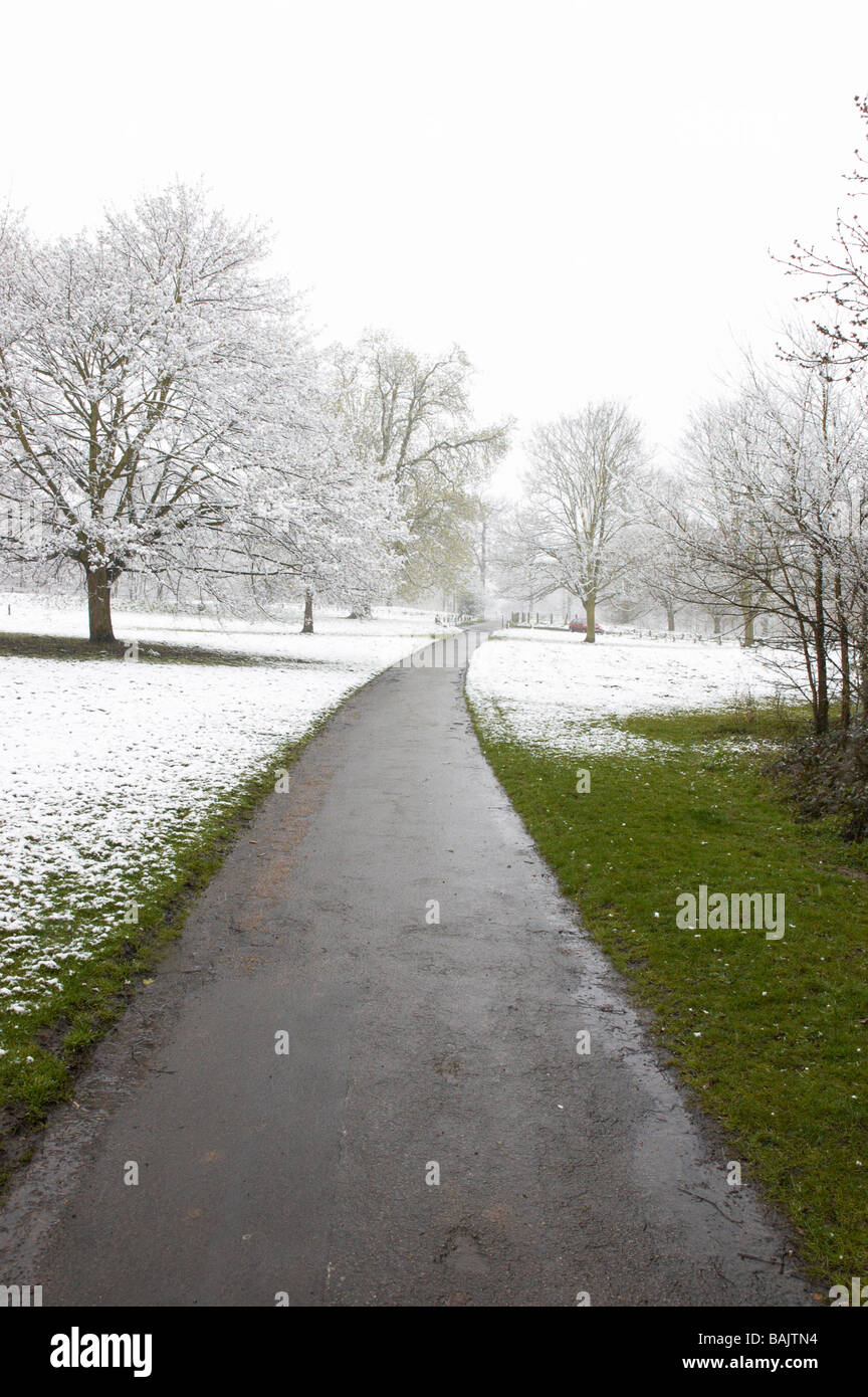 Un sentiero in inverno con neve coperti di alberi ed erba Foto Stock