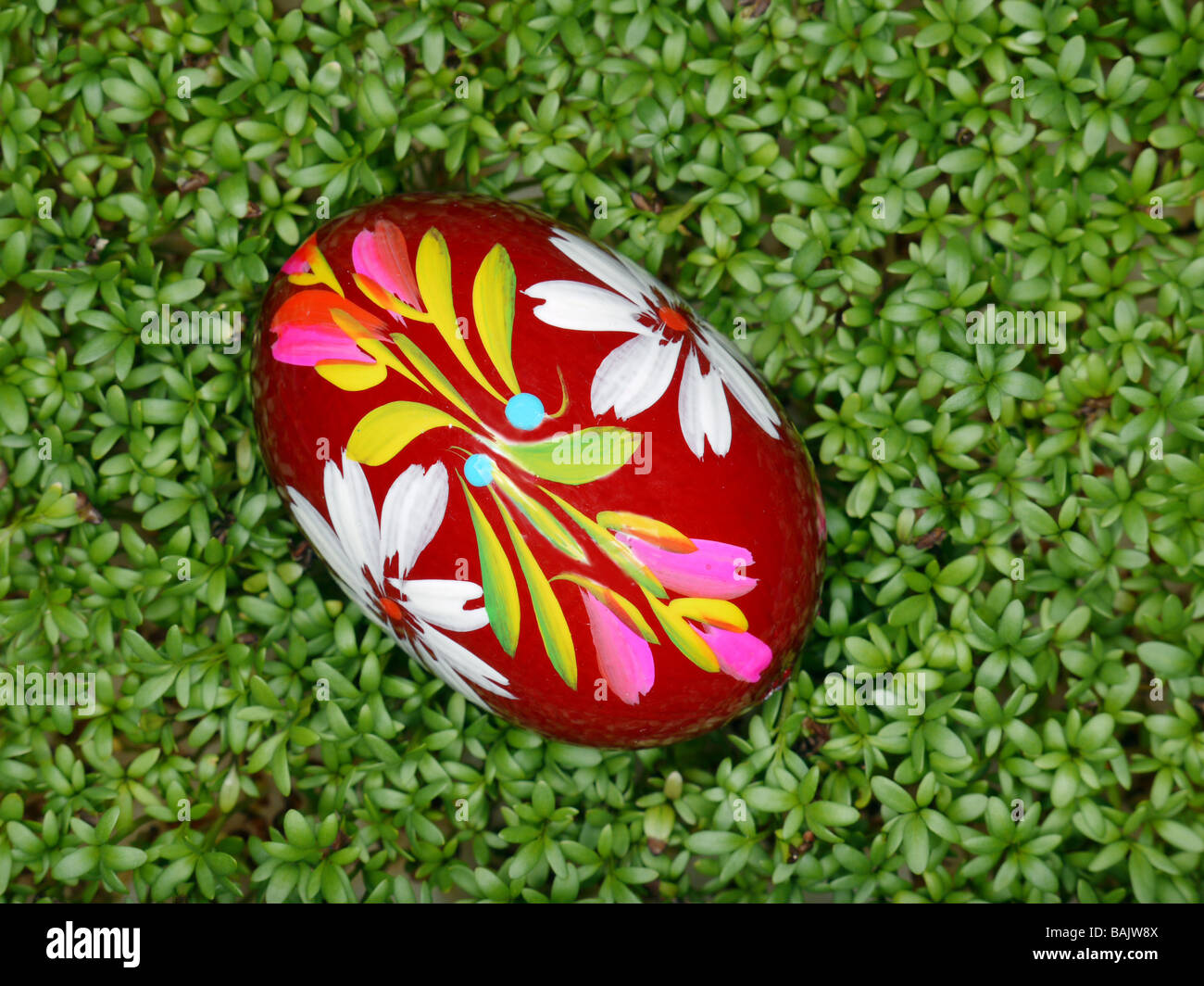 Dipinto di uovo di pasqua in posa di crescione shot dal di sopra Foto Stock