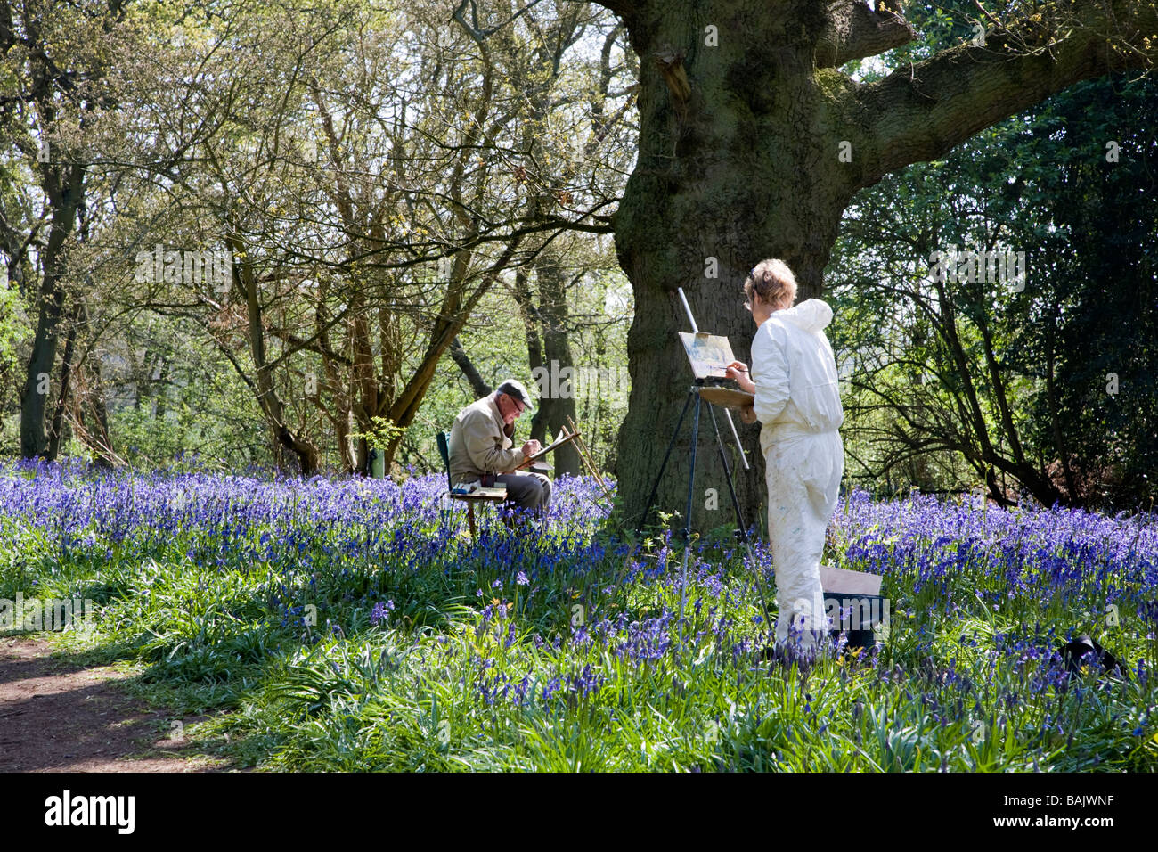 Una donna e uomo anziano pittura presso Hillhouse legno a West Bergholt vicino a Colchester Essex piena di Bluebells in primavera Foto Stock
