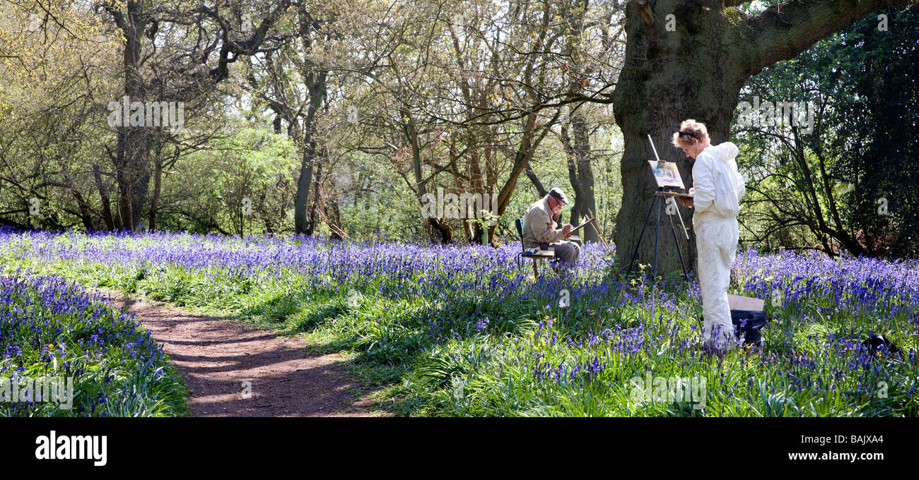 Pittori al legno Hillhouse a West Bergholt vicino a Colchester Essex piena di Bluebells in primavera Foto Stock