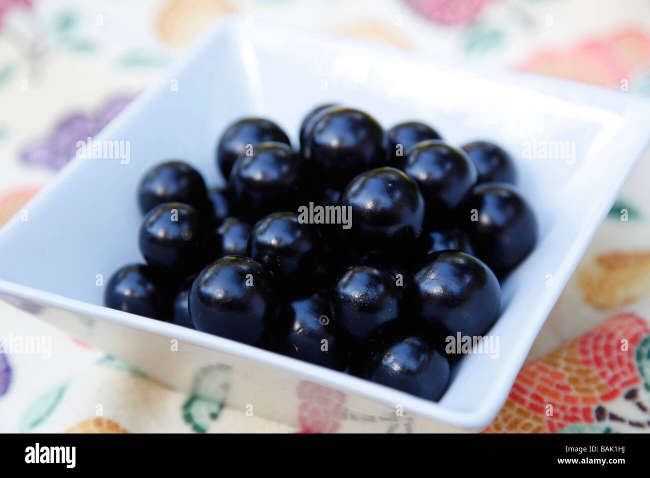 La Jabuticaba (chiamato anche uva brasiliano Tree) frutta visualizzato pronto a mangiare Foto Stock