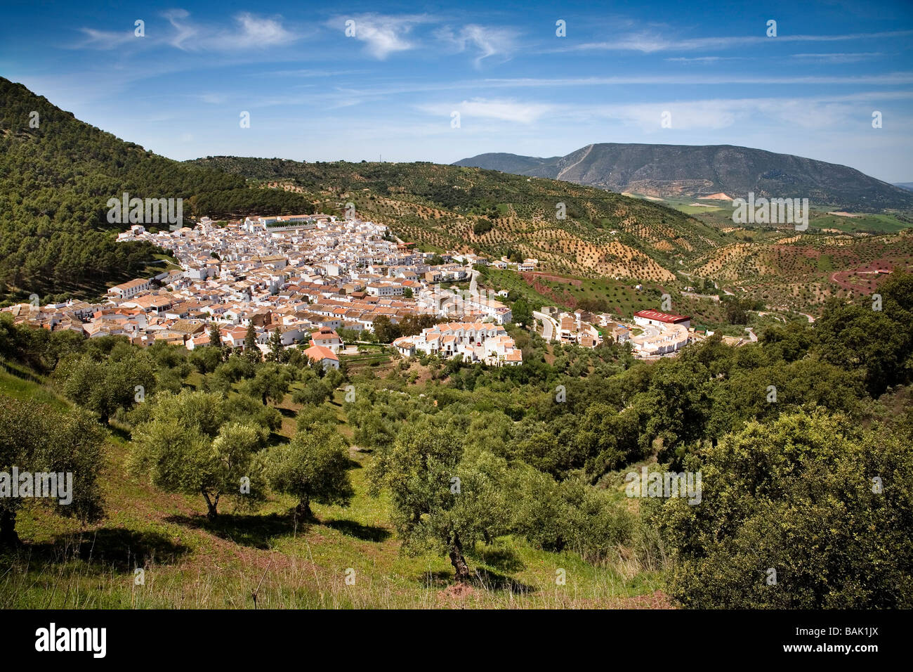 Villaggio di El Gastor villaggi bianchi in Sierra di Cadice Andalusia Spagna Foto Stock