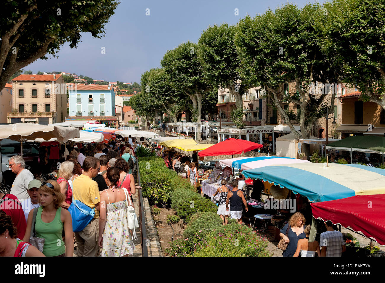 Francia, Pirenei orientali, Collioure, giorno di mercato Foto Stock
