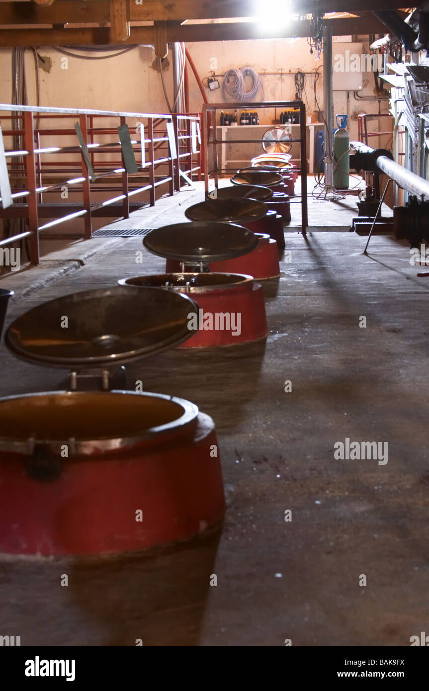 Canotte con open trap doors Domaine du Vieux lazaret Chateauneuf du Pape Rhone Francia Foto Stock