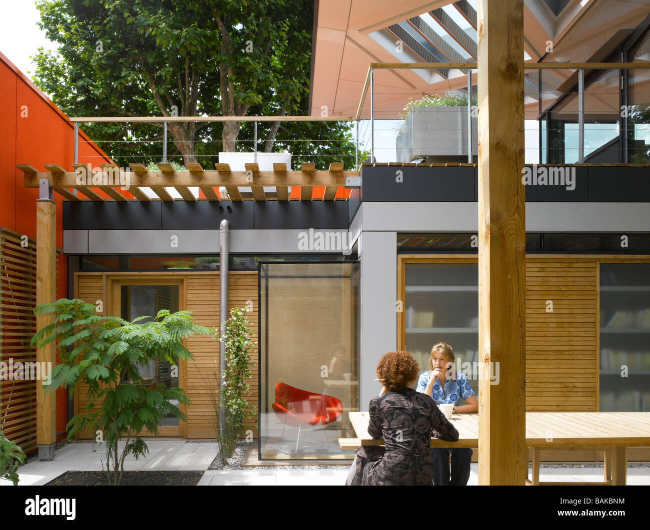 Maggie's Centre di Londra, Regno Unito, Rogers Stirk Harbour + Partners, Maggie's cortile centrale. Foto Stock