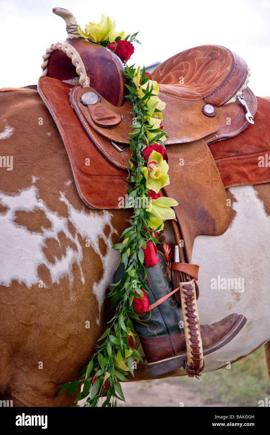 Horseless Rodeo Riderless horse immagini e fotografie stock ad alta risoluzione - Alamy