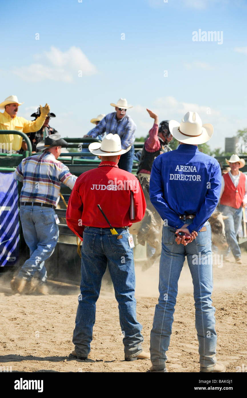 Giudici officiating al rodeo Foto Stock