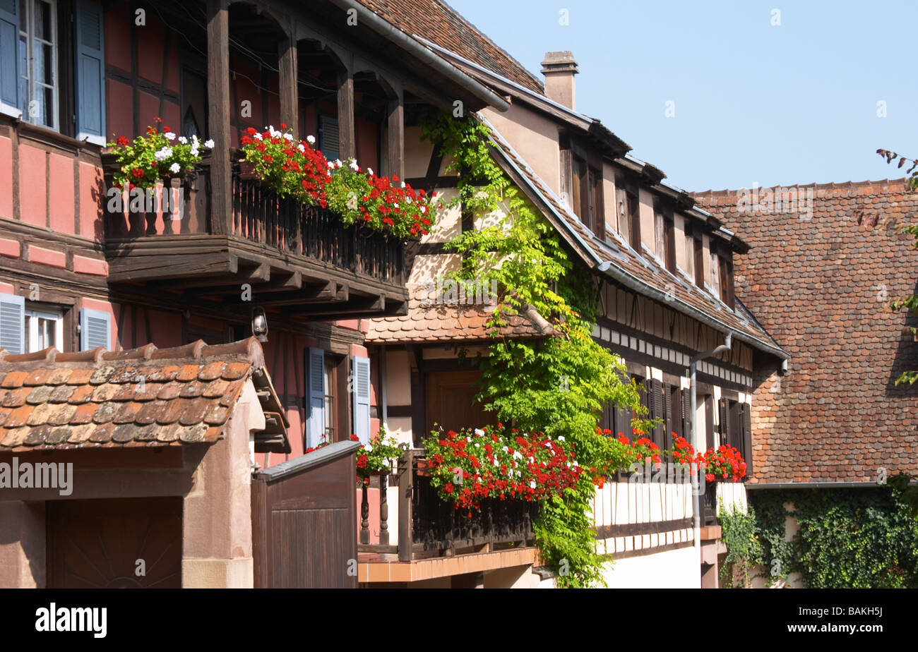 La casa e la cantina dom pfister dahlenheim Alsace Francia Foto Stock