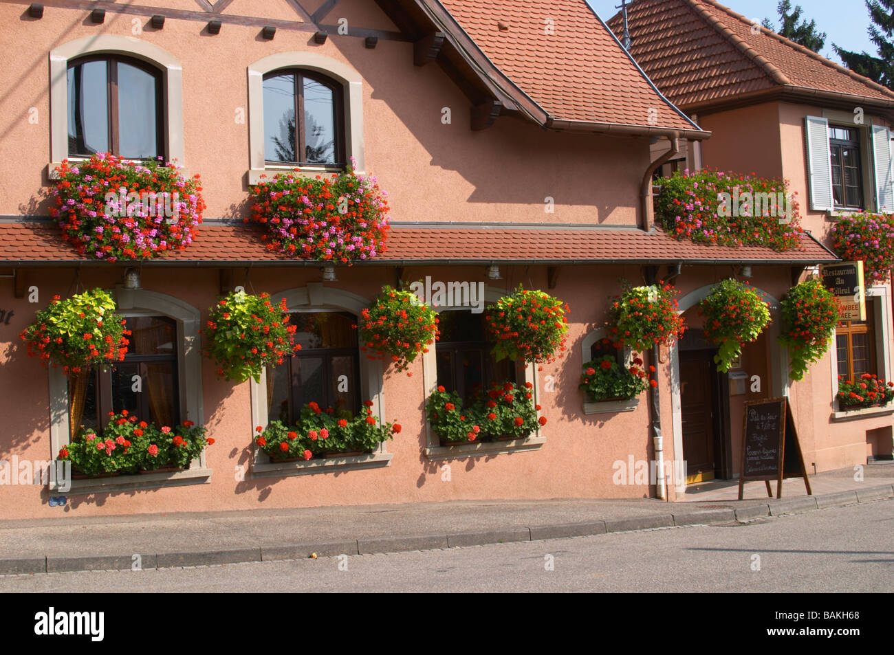 Casa con fiori dahlenheim Alsace Francia Foto Stock