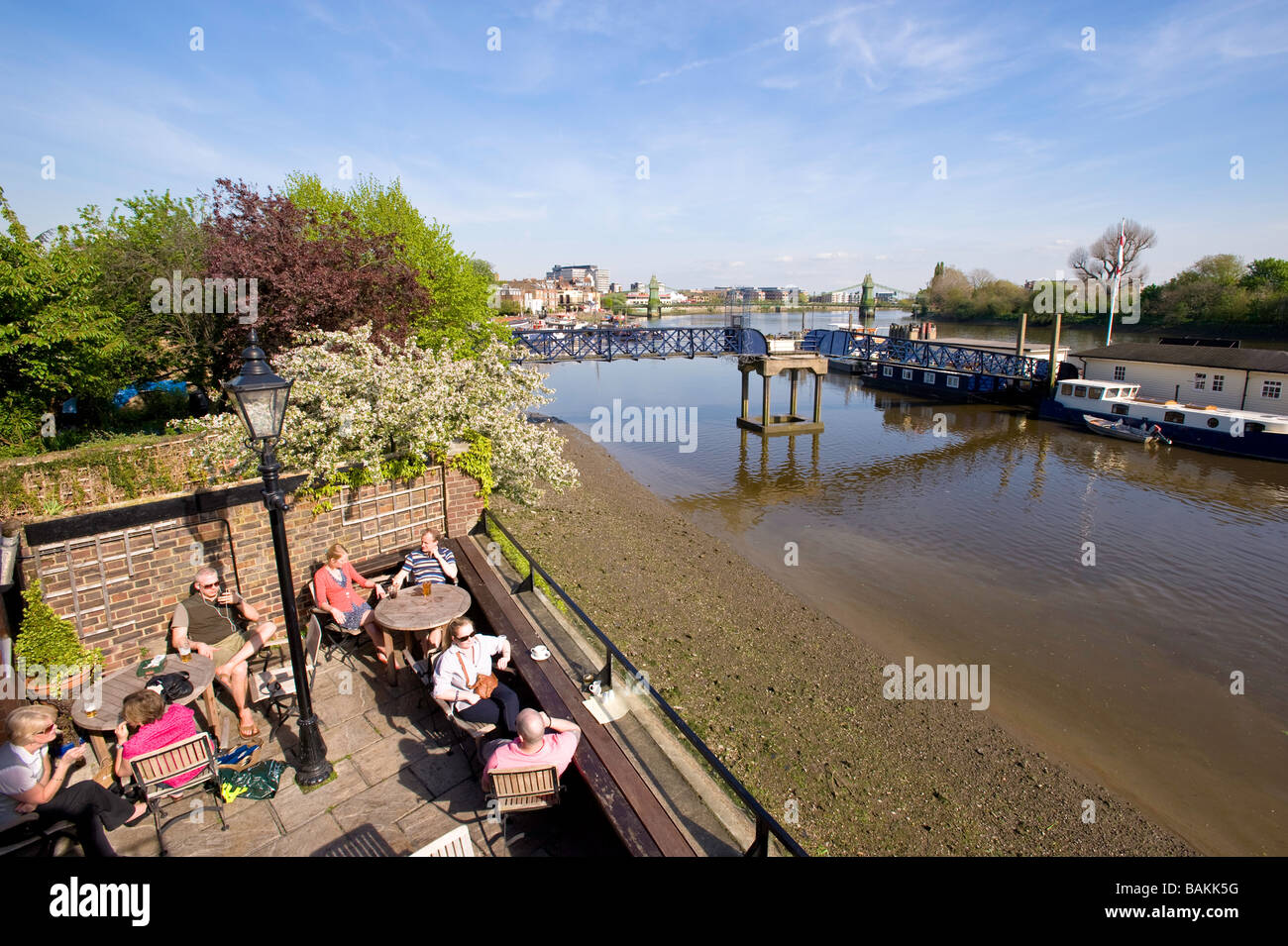 La Colomba Pub che si affaccia sul Fiume Tamigi Hammersmith W6 London Regno Unito Foto Stock