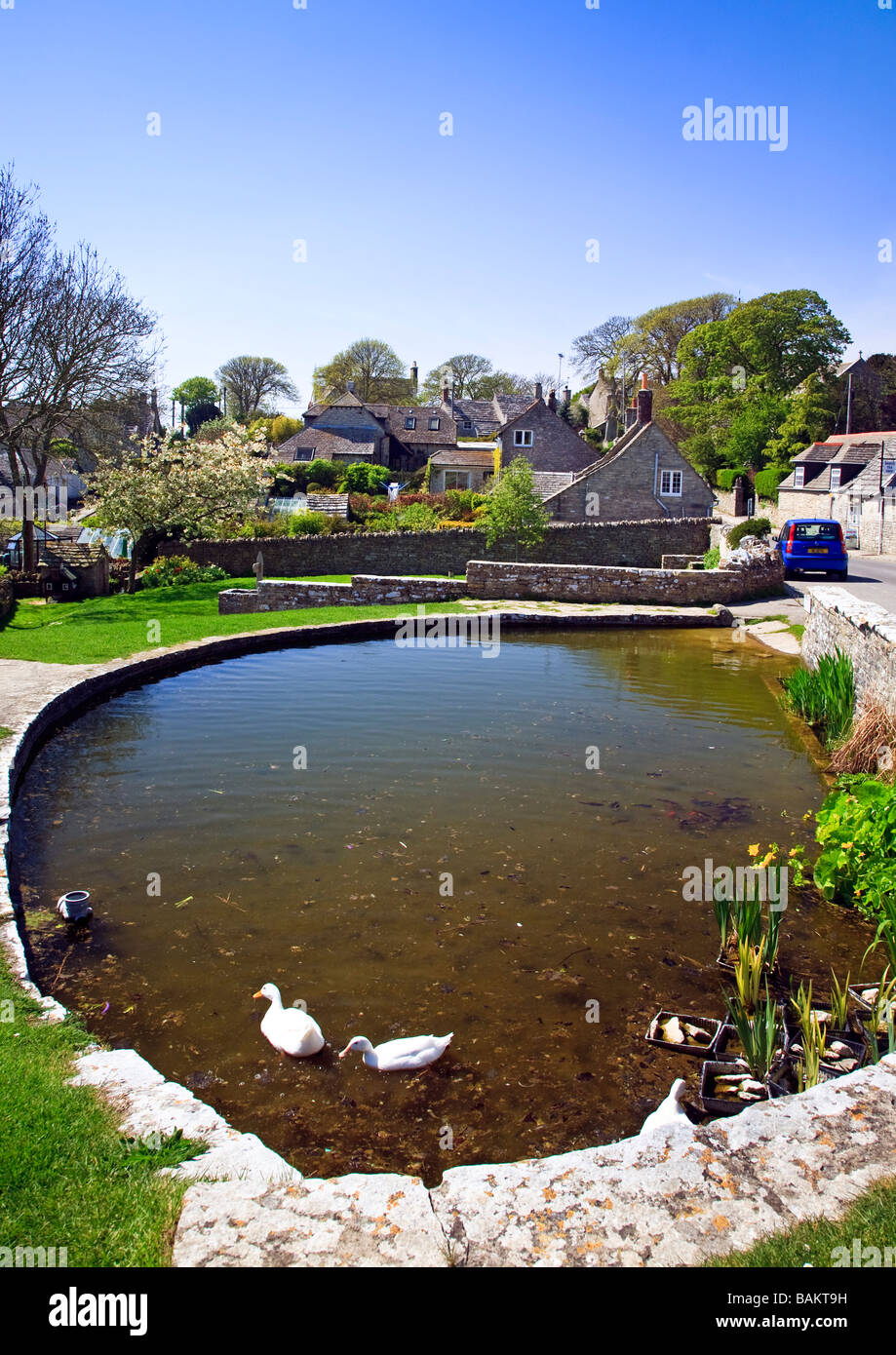 Duck Pond su Worth Matravers village, Dorset, Regno Unito 2009 Foto Stock