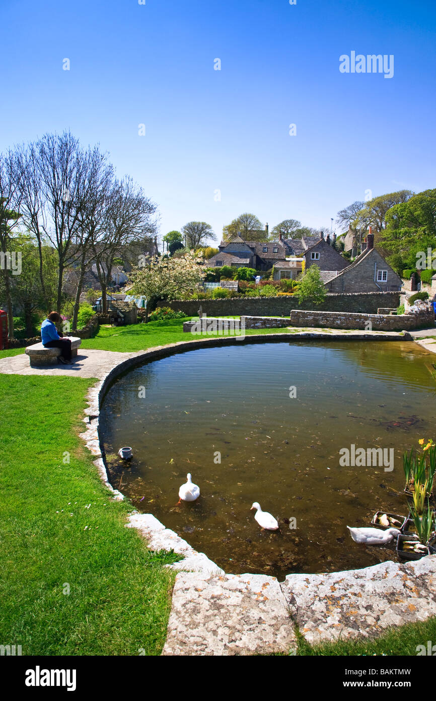 Duck Pond su Worth Matravers village, Dorset, Regno Unito 2009 Foto Stock
