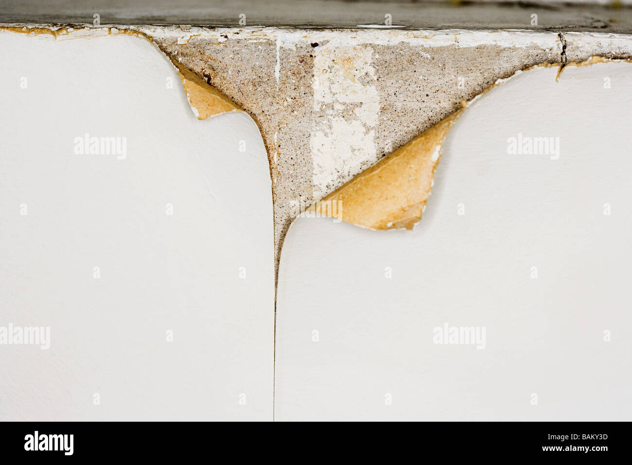 La carta da parati si stava staccando Foto Stock