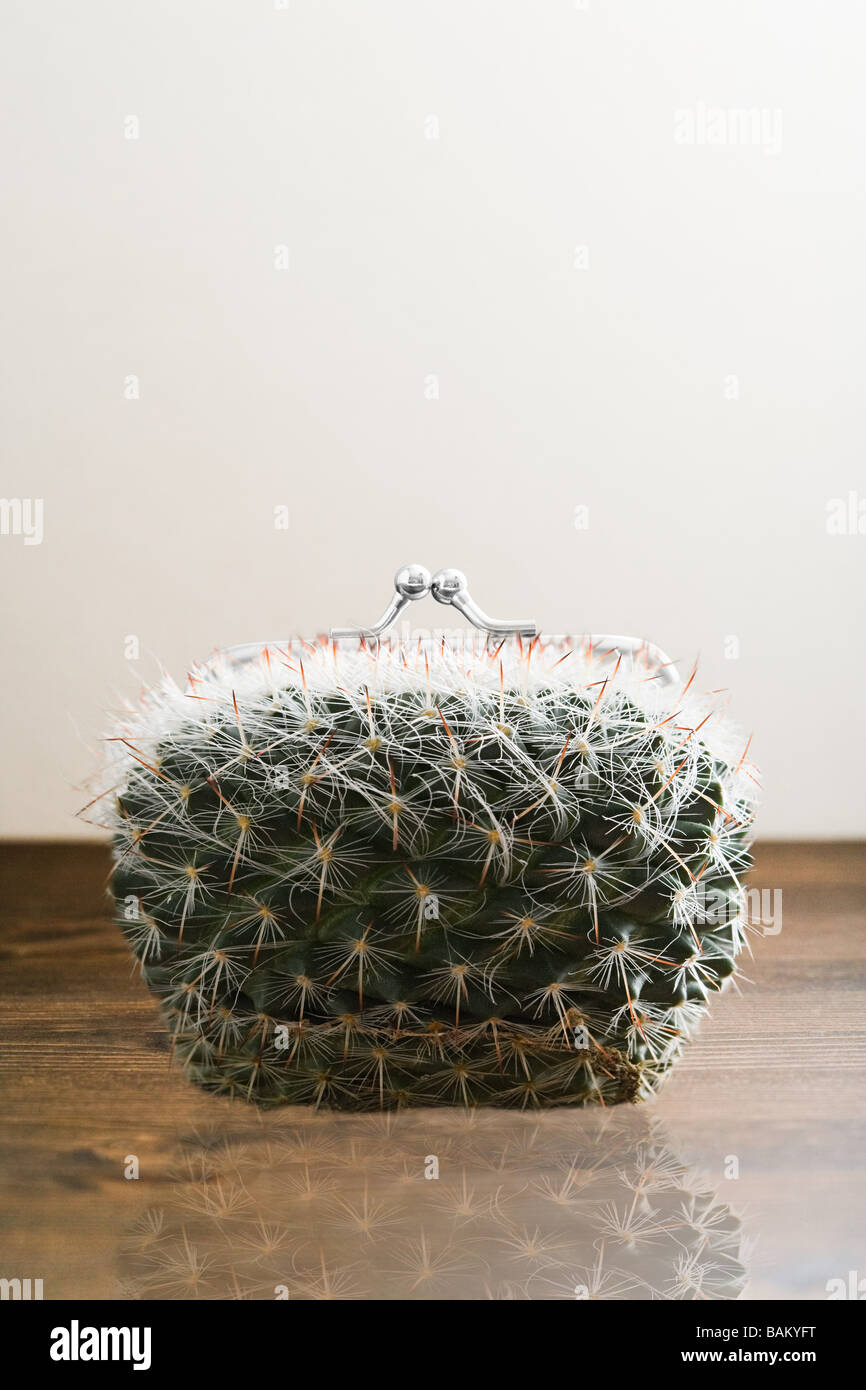 Borsa di cactus Foto Stock