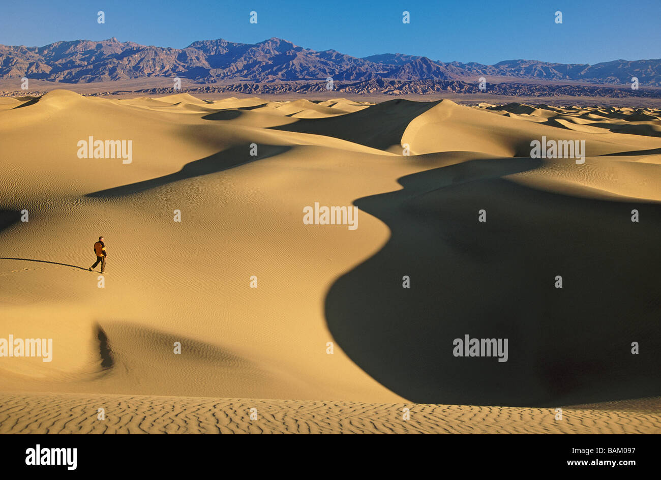 Escursionista in mesquite dune di sabbia Foto Stock