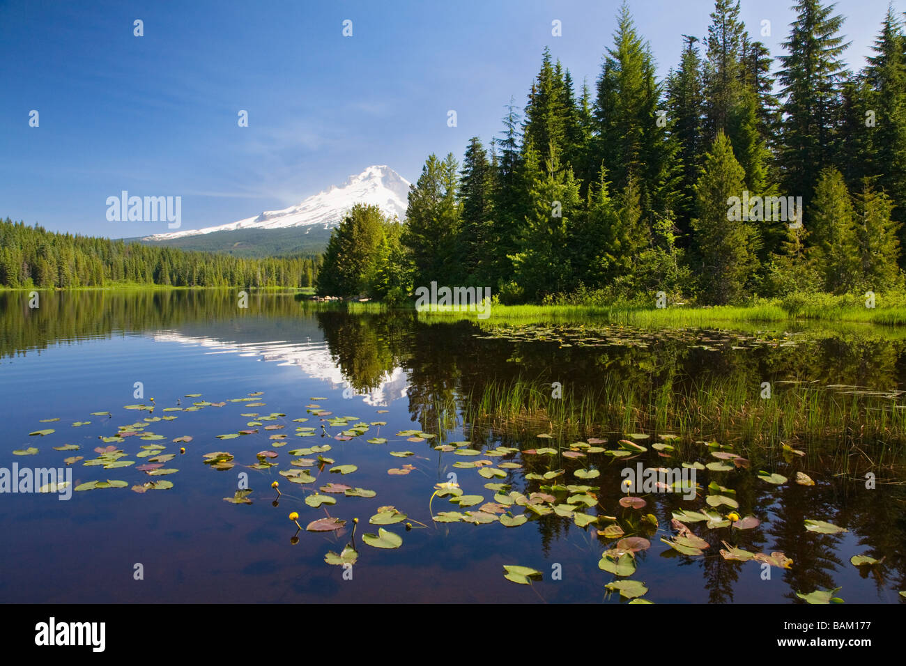 Montare il cofano e trillium lago Foto Stock