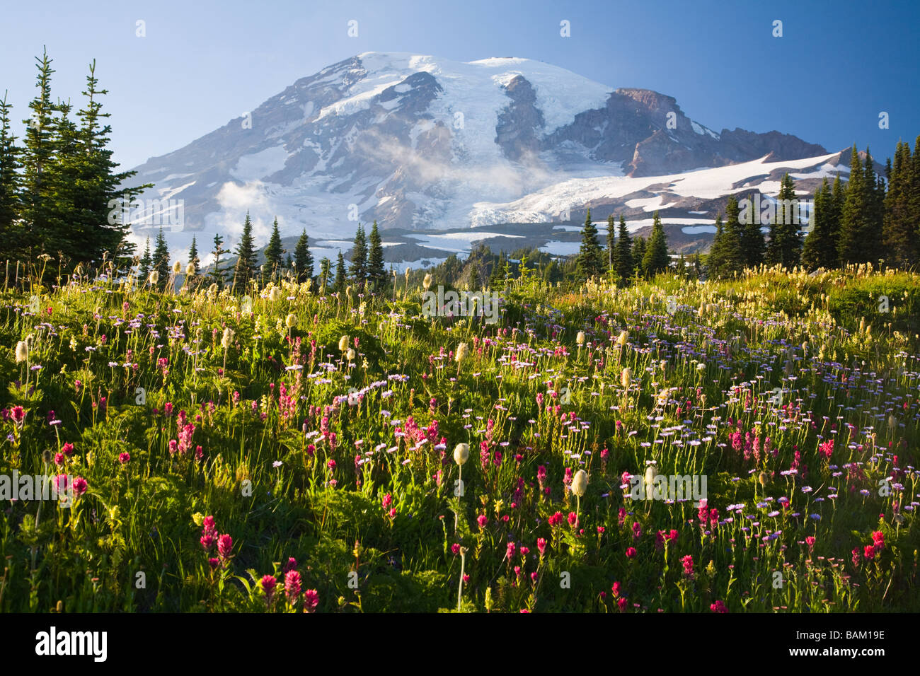 Monte rainier Foto Stock