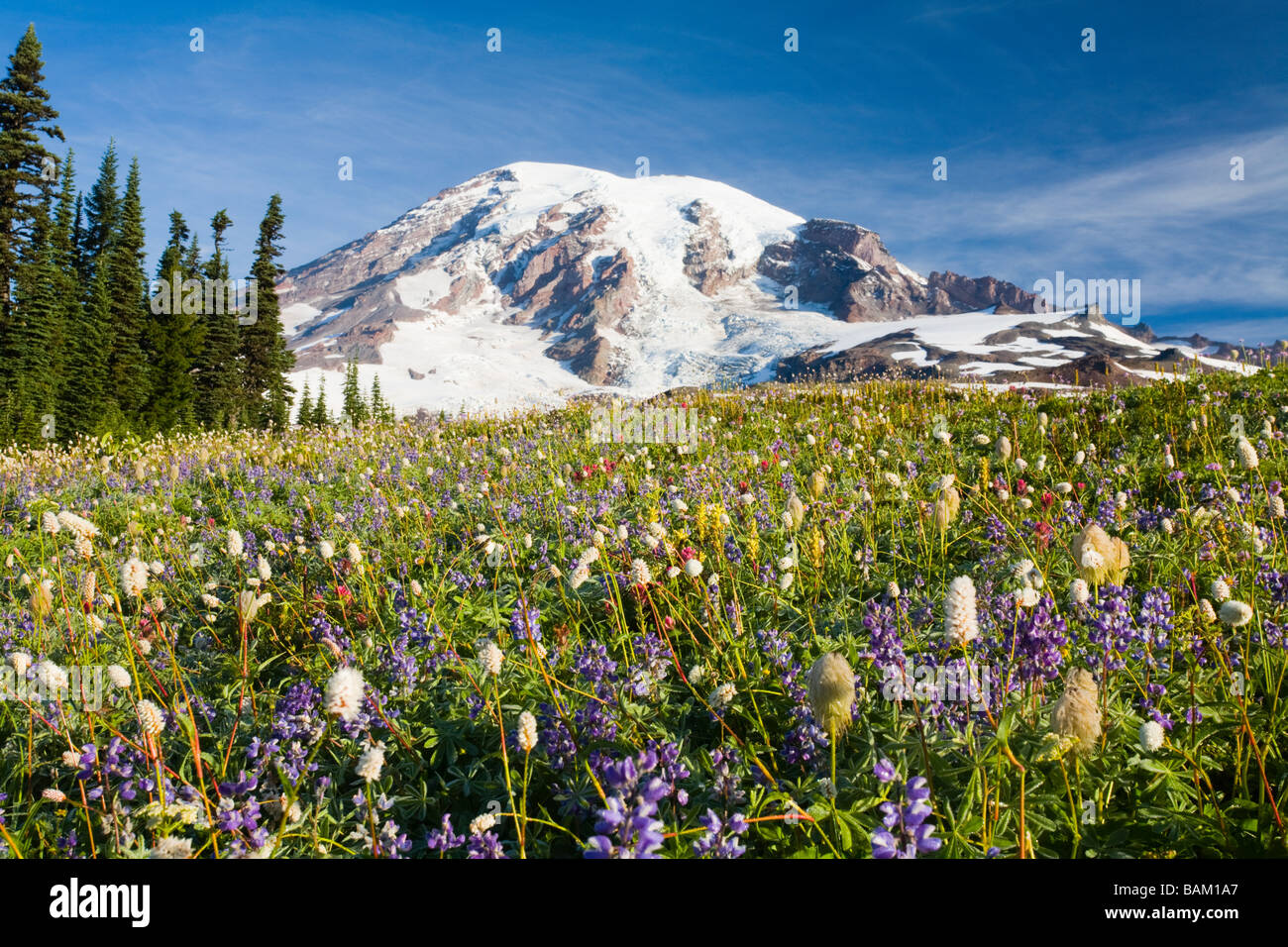 Monte rainier Foto Stock