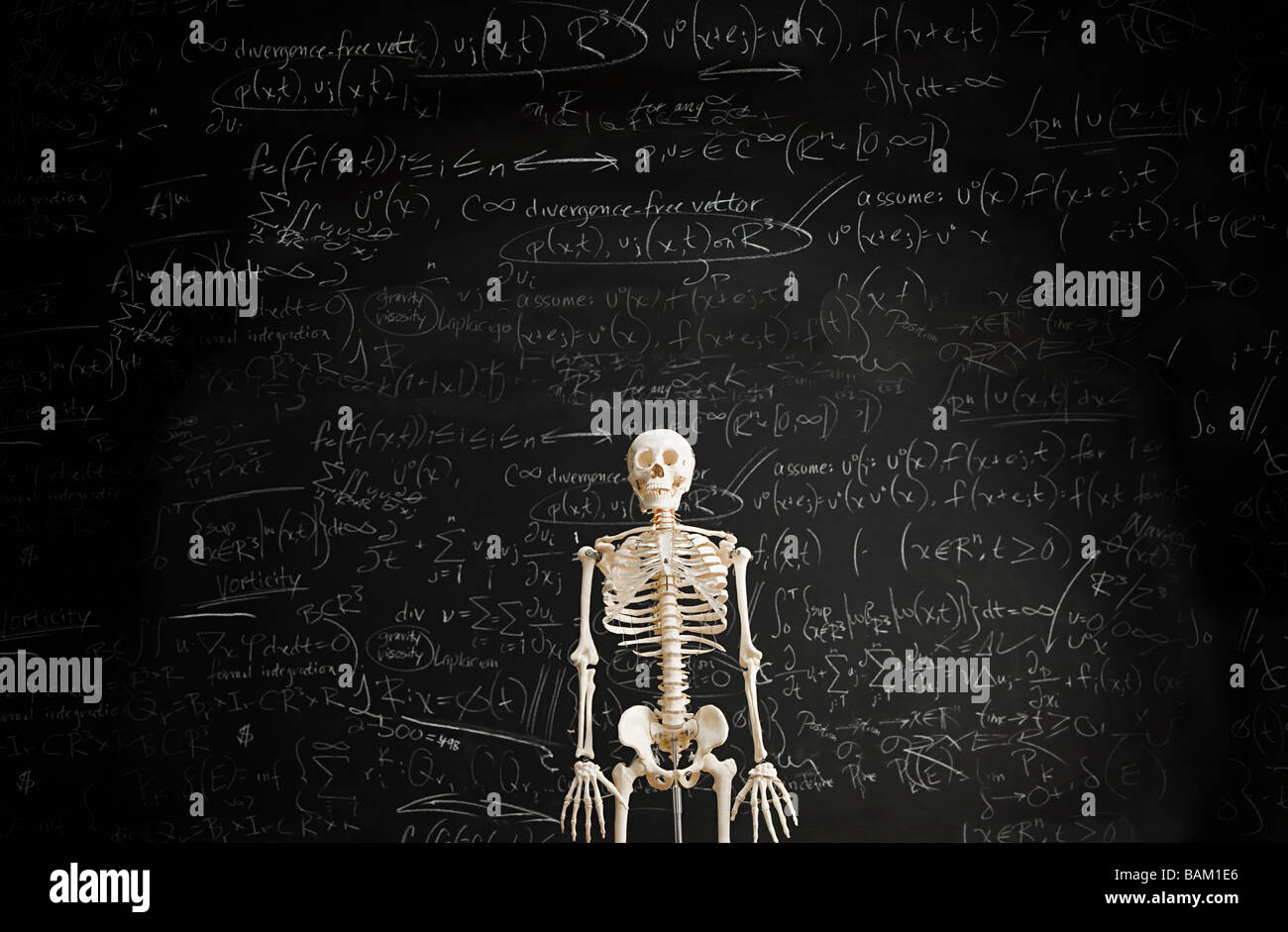 Lo scheletro di fronte di Blackboard Foto Stock