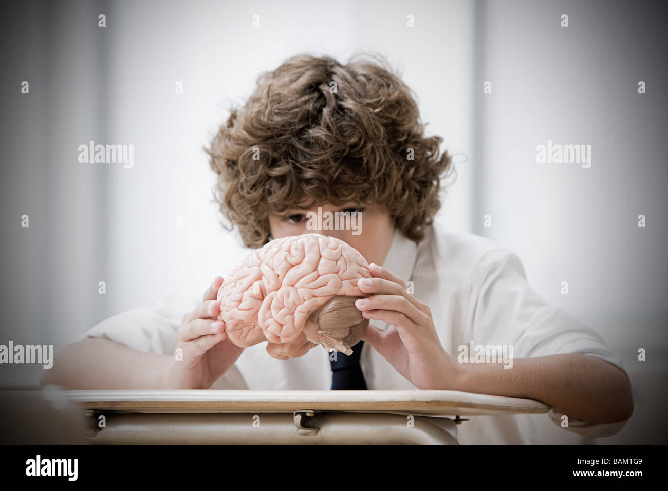 Ragazzo con il modello di cervello Foto Stock