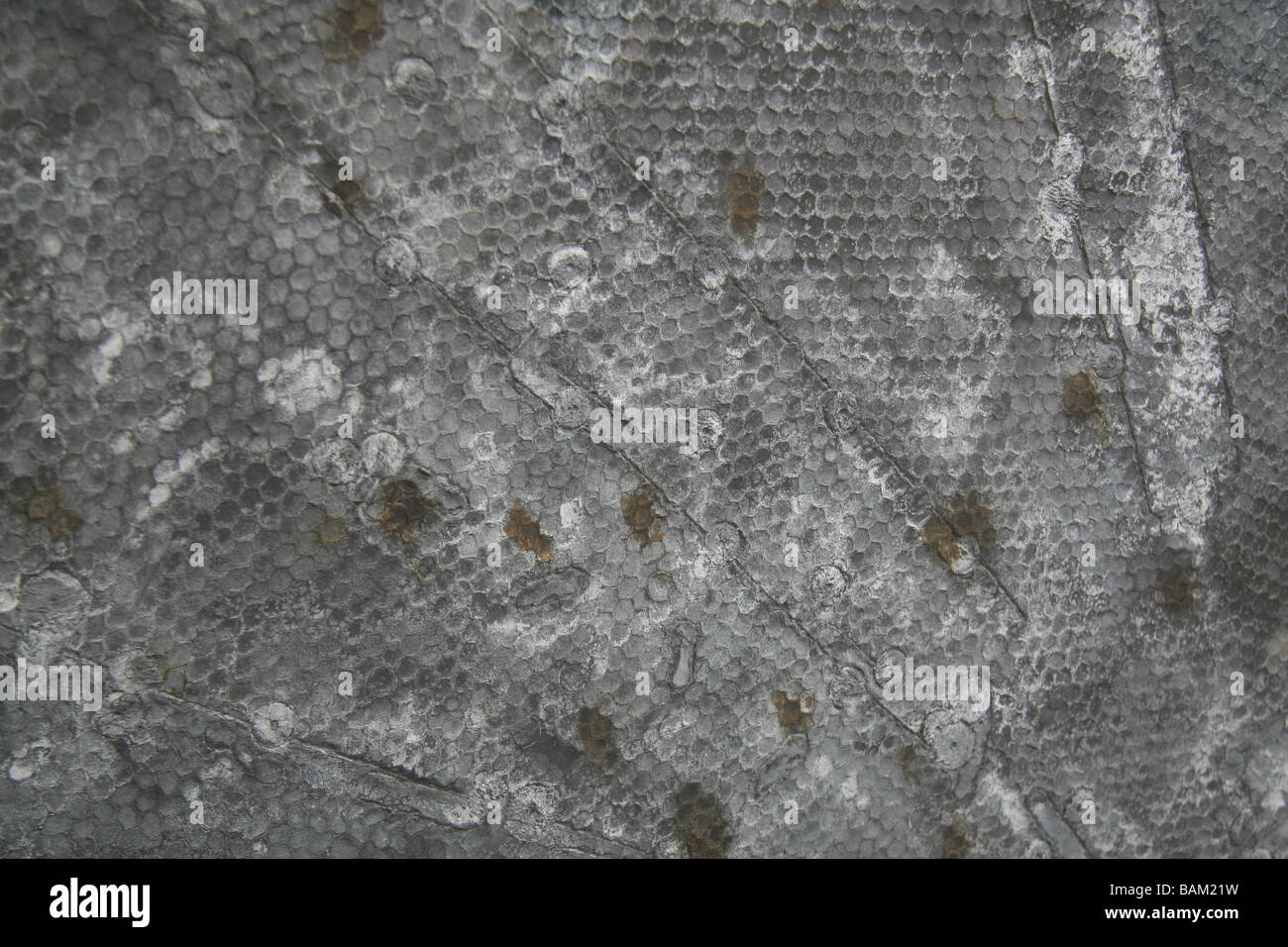 Close up dell'Apollo 11 schermo termico dopo il rientro, National Air & Space Museum di Washington DC. ISO 400 Foto Stock