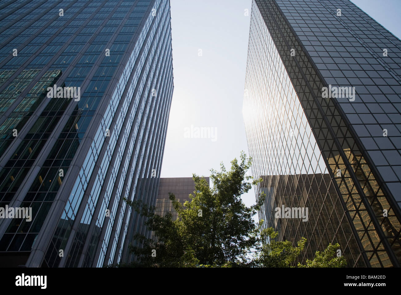 Grattacieli di vancouver financial district Foto Stock