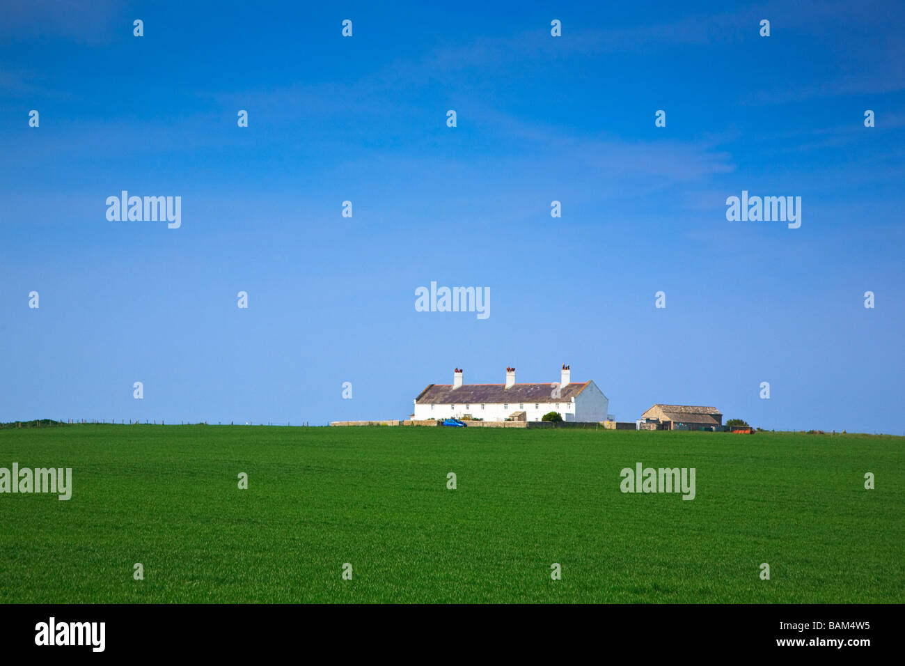 Cottage bianco circondato da verdi campi presso il St Aldhelms Testa, Isle of Purbeck Dorset, Regno Unito 2009 Foto Stock