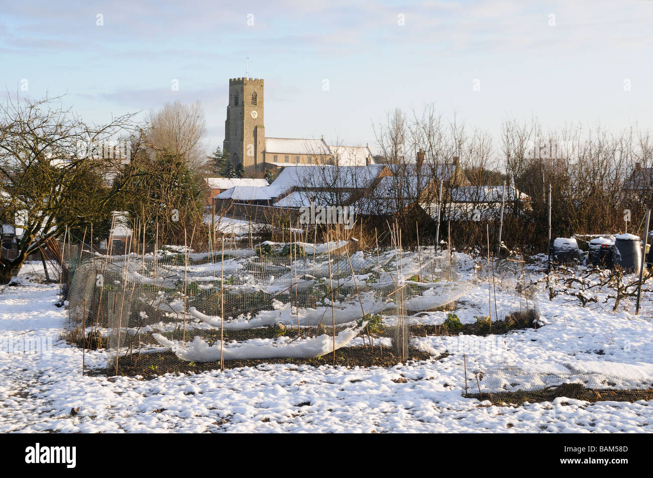 Cavoli sotto il netting sul riparto con la posa di neve villaggio chiesa in background Foto Stock