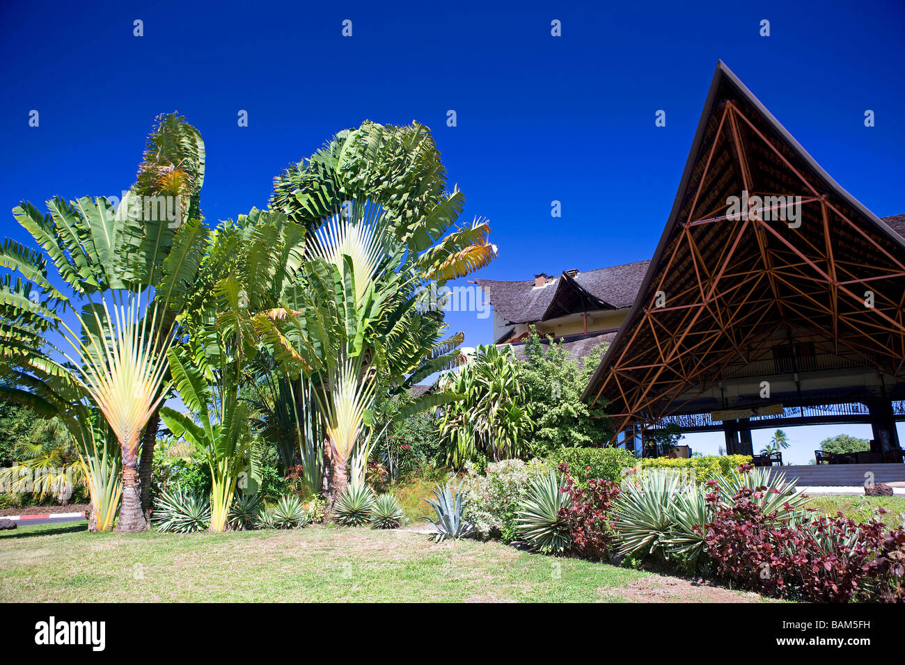 Francia, Polinesia francese, la società arcipelago, isole Windward, Tahiti, Punaauia, l'Hotel Le Meridien, giardino Foto Stock