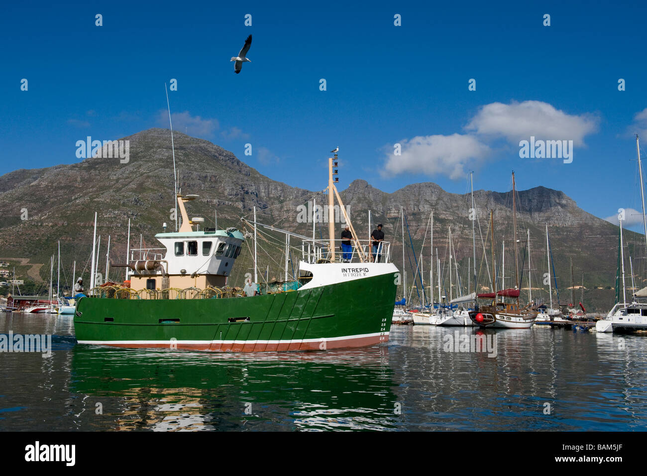 Pesce trawler lasciando Hout Bay Harbor Western Cape Sud Africa Foto Stock