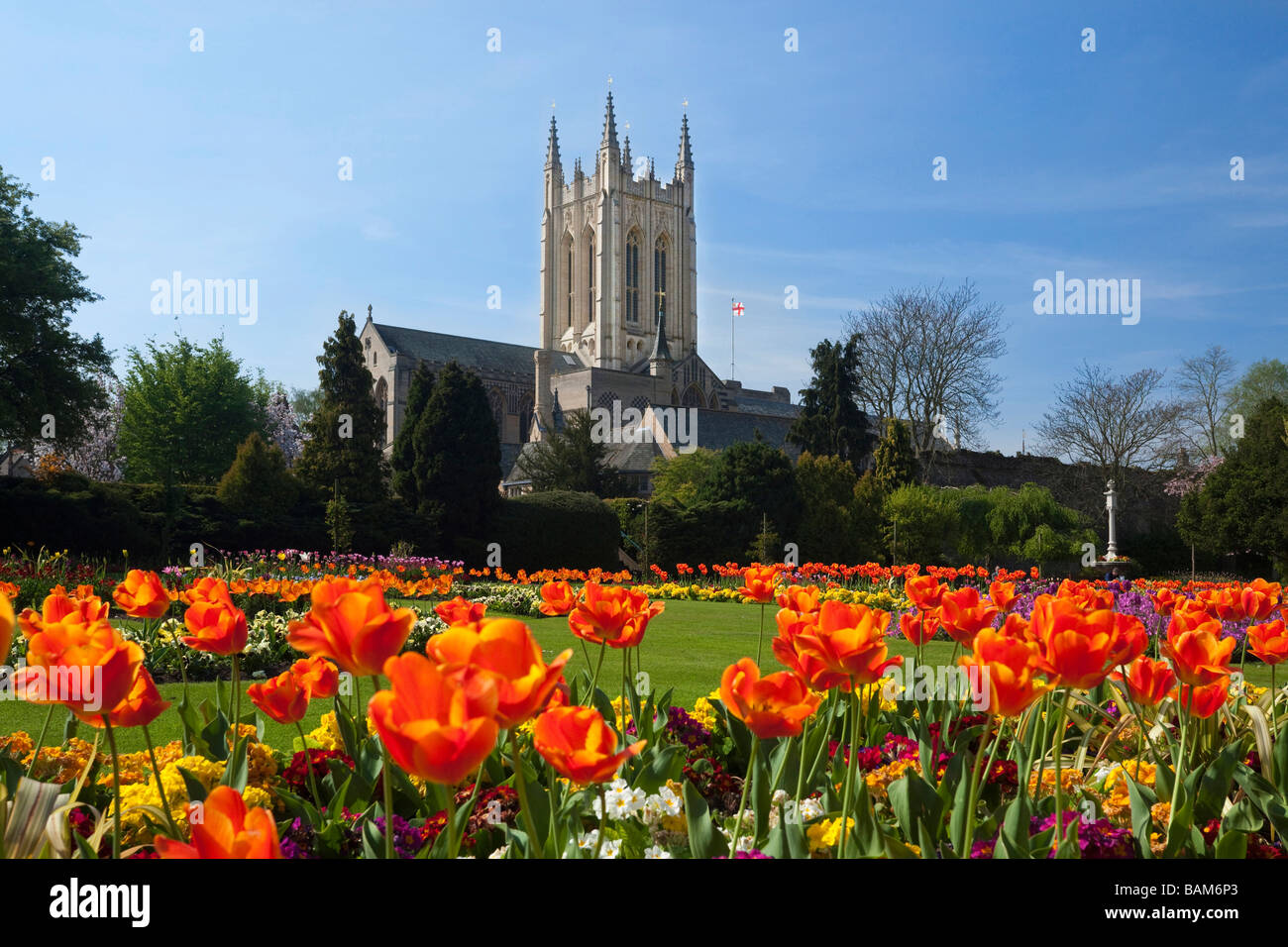 Vista di St James / St Edmundsbury Cathedral visto dall'Abbey Gardens a Bury St Edmunds, Suffolk, Regno Unito nel 2009 Foto Stock