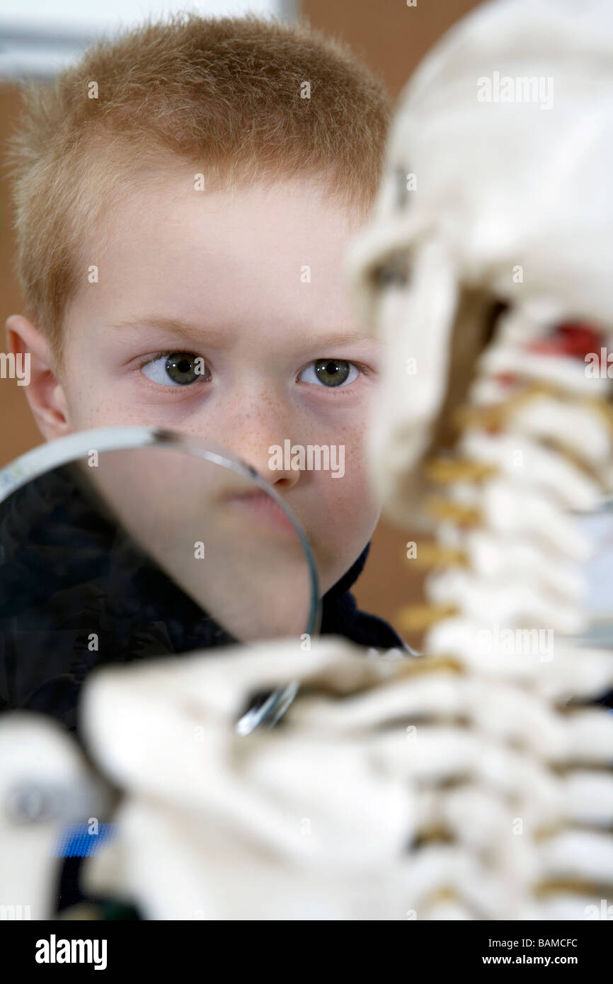 Ragazzo che guarda attraverso la lente di ingrandimento a scheletro Foto Stock