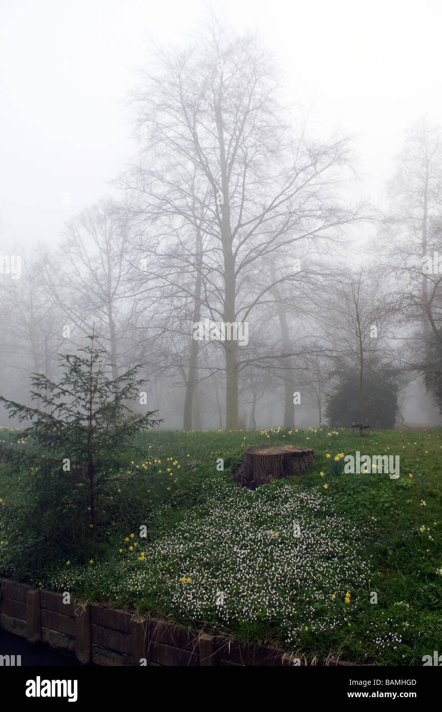 Cambridge su una nebbia Morming Foto Stock