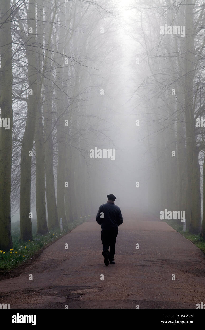 Cambridge su una nebbia Morming Foto Stock