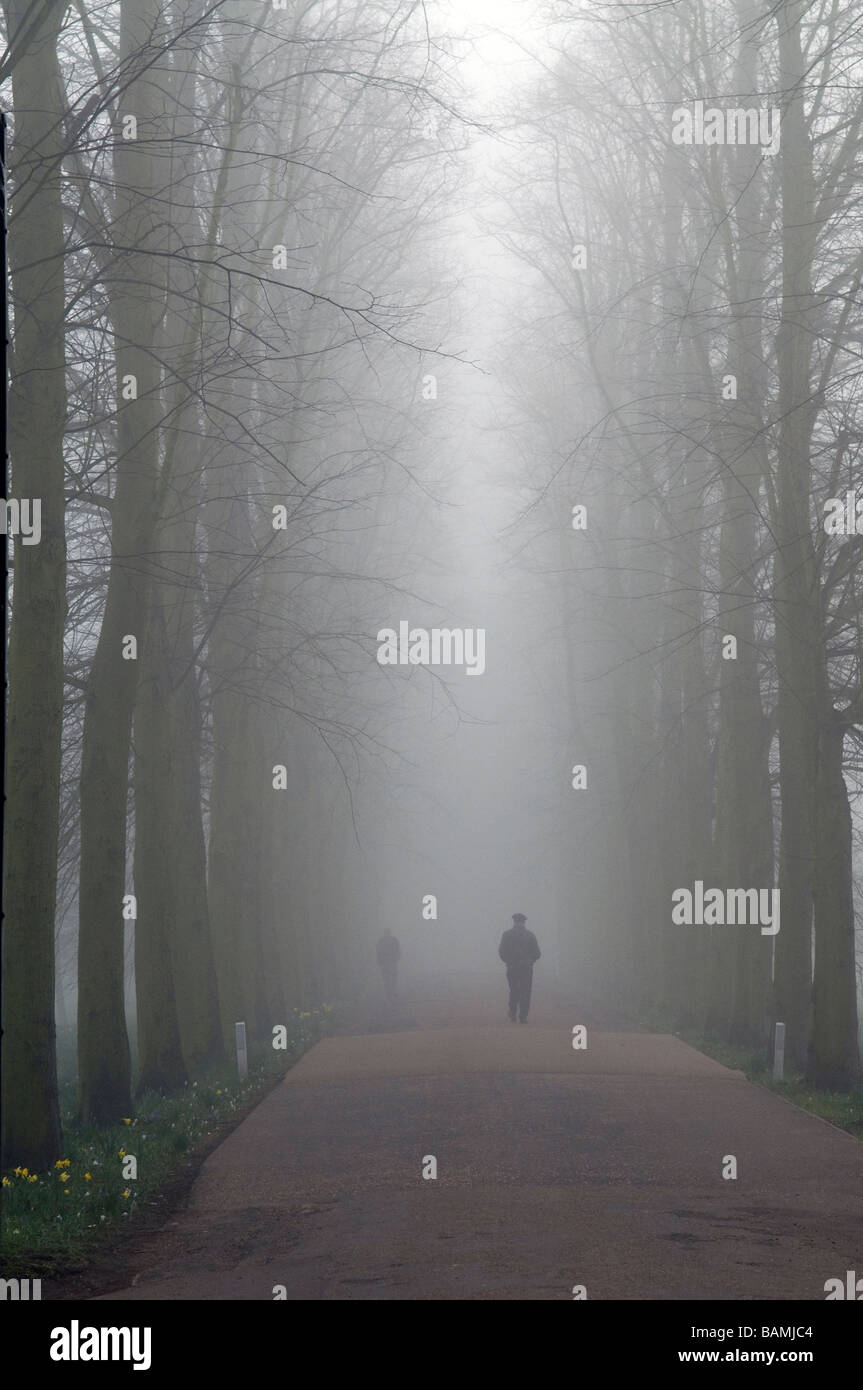 Cambridge su una nebbia Morming Foto Stock