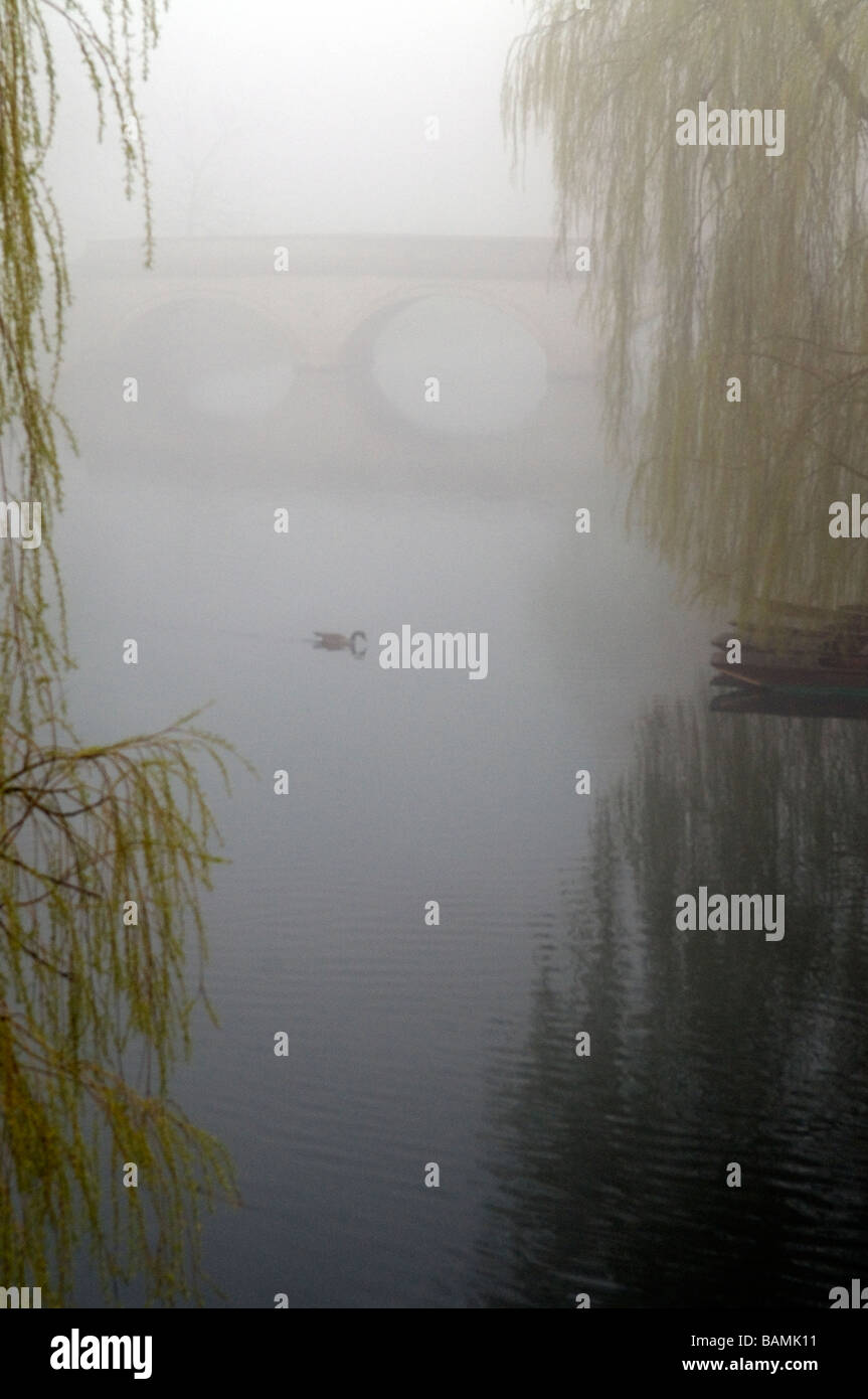 Cambridge su una nebbia Morming Foto Stock