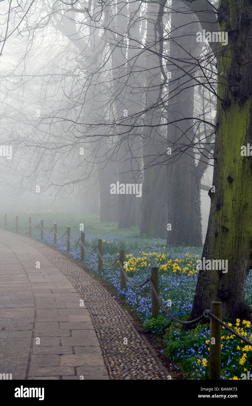 Cambridge su una nebbia Morming Foto Stock