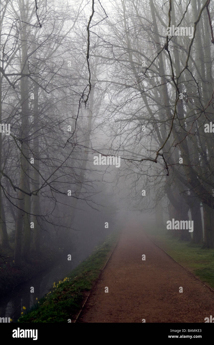 Cambridge su una nebbia Morming Foto Stock