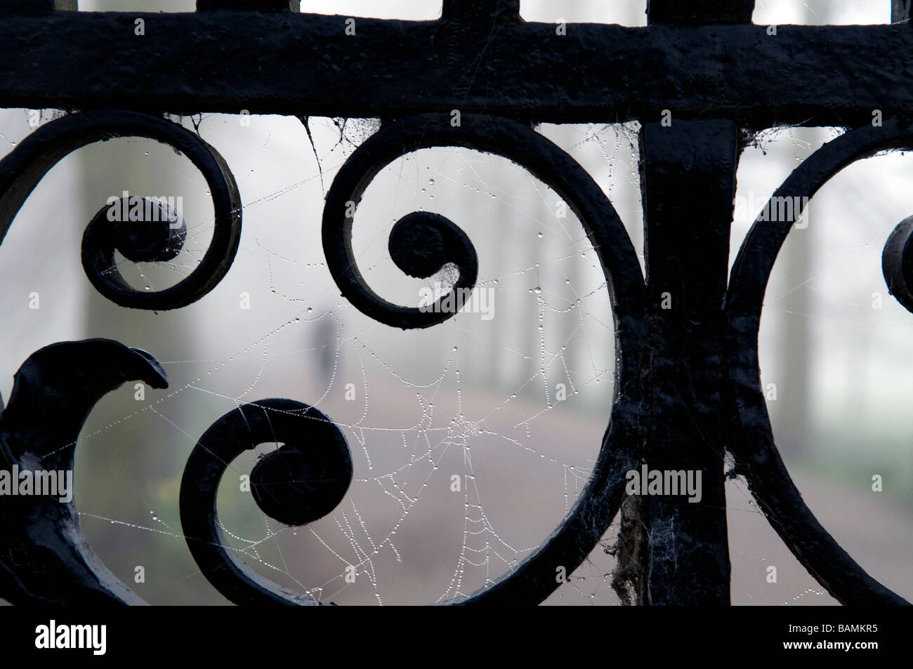 Cambridge su una nebbia Morming Foto Stock